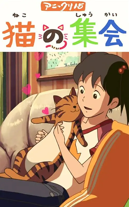 济州岛的性感之夜