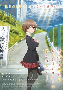 星际长袜