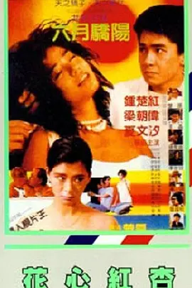 三上悠亚伦理片