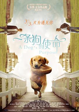 国产片在线