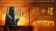 能看的av