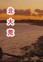 双性挨脔日常h调教视频