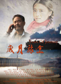视频二区在线