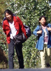 服务员议政师