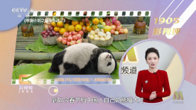 免费无遮挡在线观看